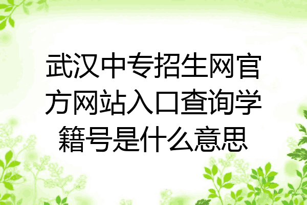 武汉中专招生网官方网站入口查询学籍号是什么意思