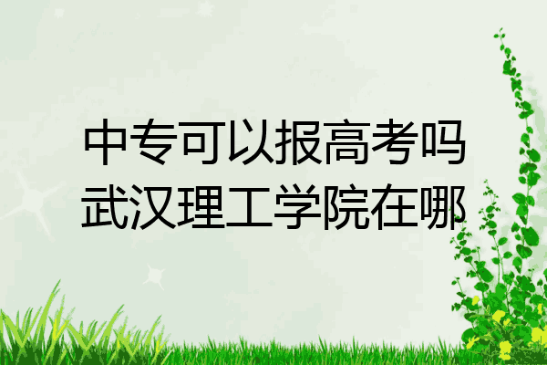 中专可以报高考吗武汉理工学院在哪
