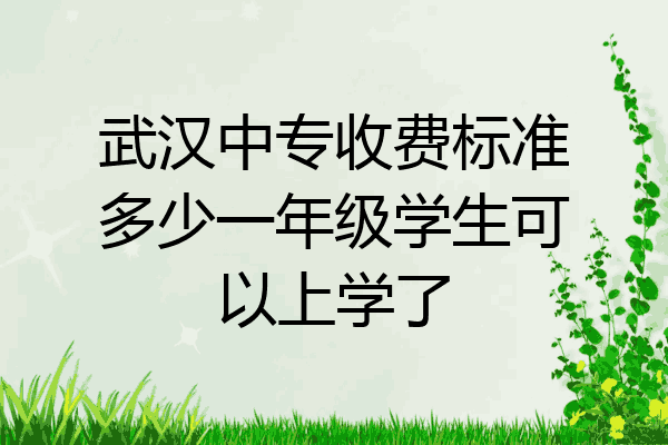 武汉中专收费标准多少一年级学生可以上学了