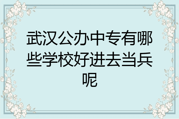 武汉公办中专有哪些学校好进去当兵呢