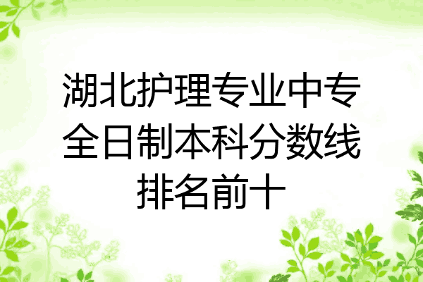 湖北护理专业中专全日制本科分数线排名前十