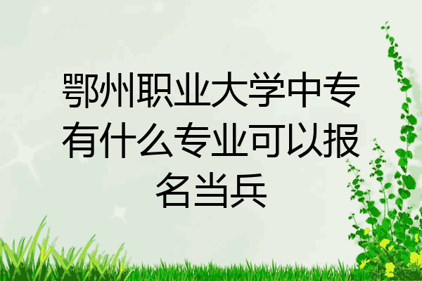 鄂州职业大学中专有什么专业可以报名当兵