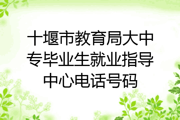 十堰市教育局大中专毕业生就业指导中心电话号码