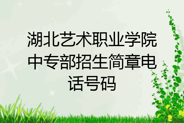 湖北艺术职业学院中专部招生简章电话号码