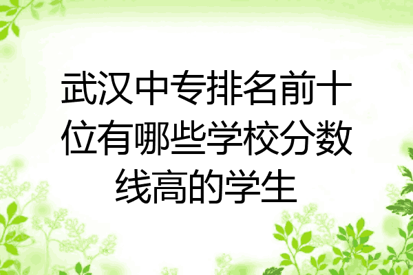 武汉中专排名前十位有哪些学校分数线高的学生