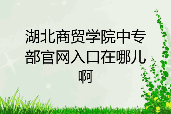 湖北商贸学院中专部官网入口在哪儿啊