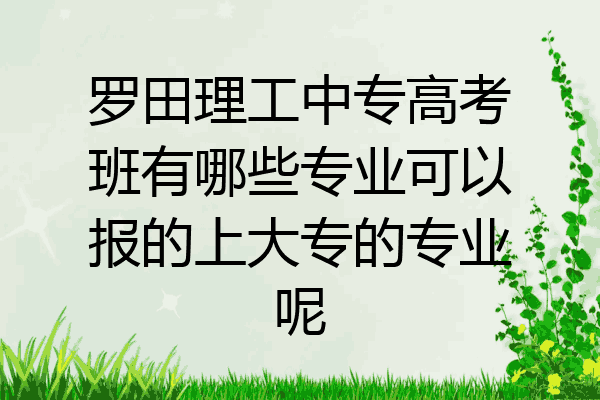 罗田理工中专高考班有哪些专业可以报的上大专的专业呢