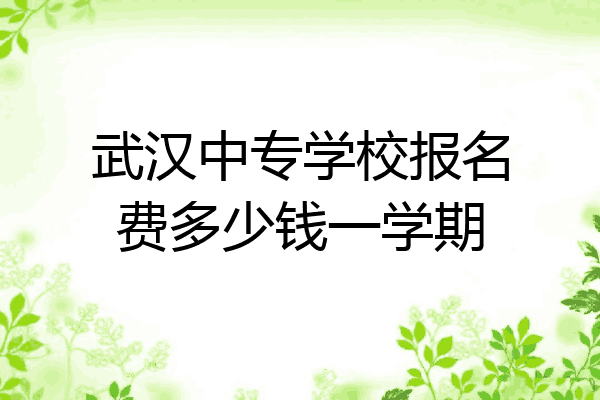 武汉中专学校报名费多少钱一学期