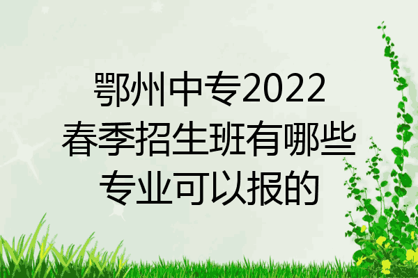 鄂州中专2022春季招生班有哪些专业可以报的