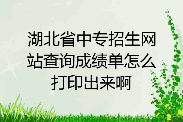 湖北省中专招生网站查询成绩单怎么打印出来啊