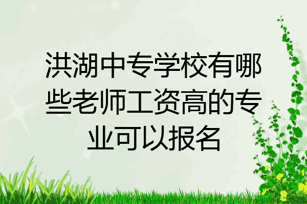 洪湖中专学校有哪些老师工资高的专业可以报名