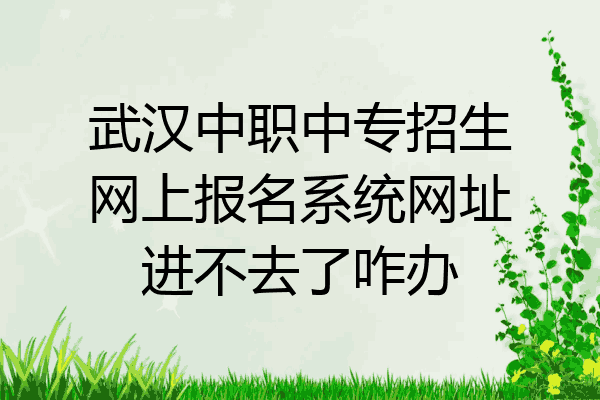 武汉中职中专招生网上报名系统网址进不去了咋办