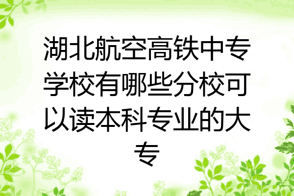 湖北航空高铁中专学校有哪些分校可以读本科专业的大专