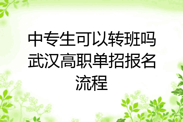中专生可以转班吗武汉高职单招报名流程
