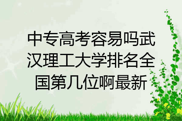 中专高考容易吗武汉理工大学排名全国第几位啊最新