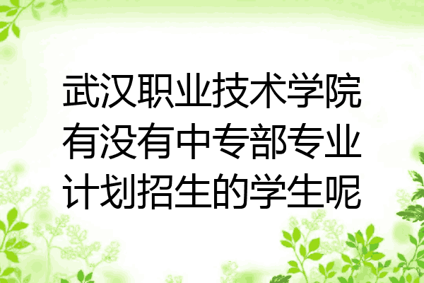武汉职业技术学院有没有中专部专业计划招生的学生呢
