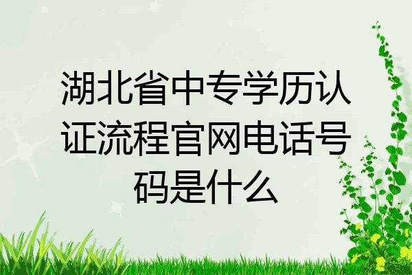 湖北省中专学历认证流程官网电话号码是什么
