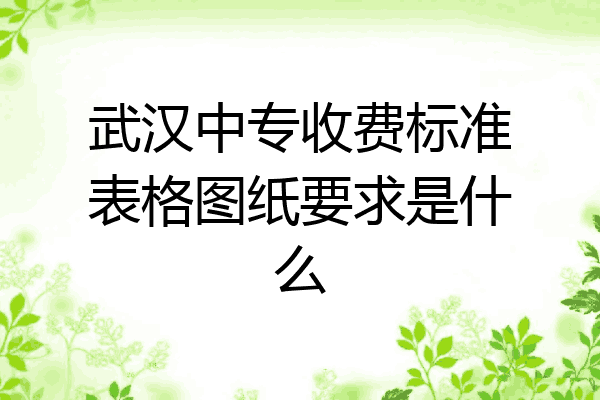 武汉中专收费标准表格图纸要求是什么