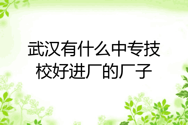 武汉有什么中专技校好进厂的厂子