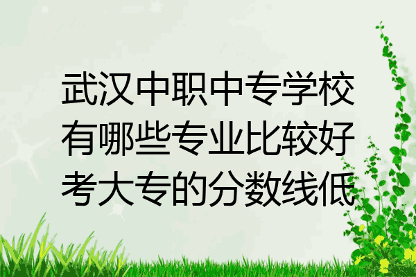 武汉中职中专学校有哪些专业比较好考大专的分数线低