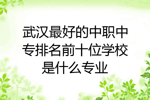 武汉最好的中职中专排名前十位学校是什么专业