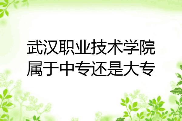 武汉职业技术学院属于中专还是大专