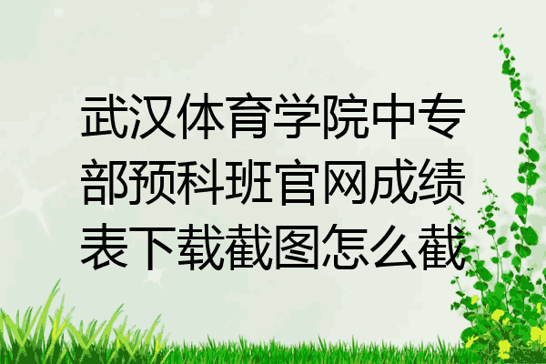武汉体育学院中专部预科班官网成绩表下载截图怎么截