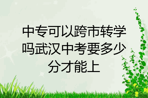 中专可以跨市转学吗武汉中考要多少分才能上