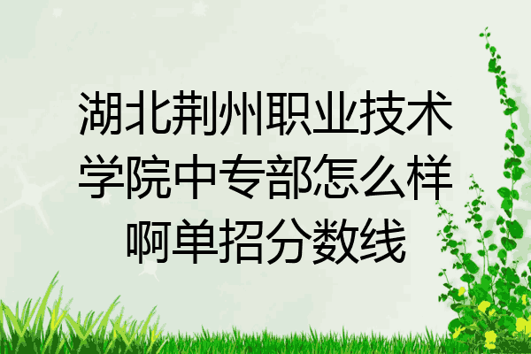 湖北荆州职业技术学院中专部怎么样啊单招分数线