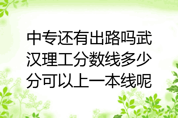 中专还有出路吗武汉理工分数线多少分可以上一本线呢