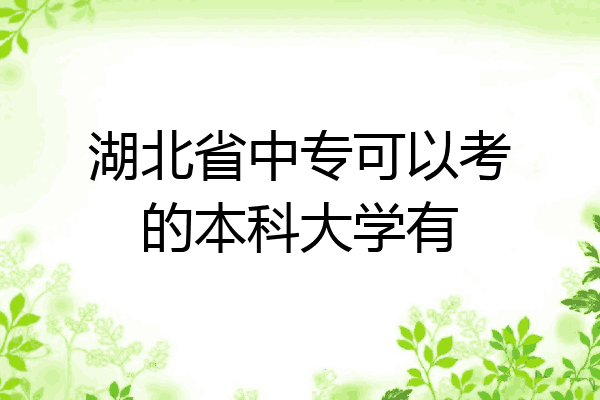 湖北省中专可以考的本科大学有