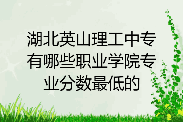 湖北英山理工中专有哪些职业学院专业分数最低的