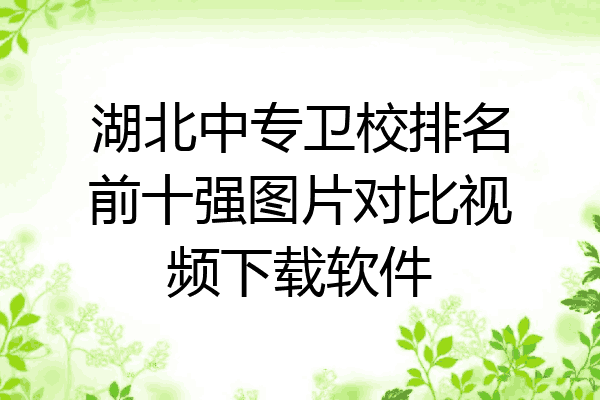 湖北中专卫校排名前十强图片对比视频下载软件