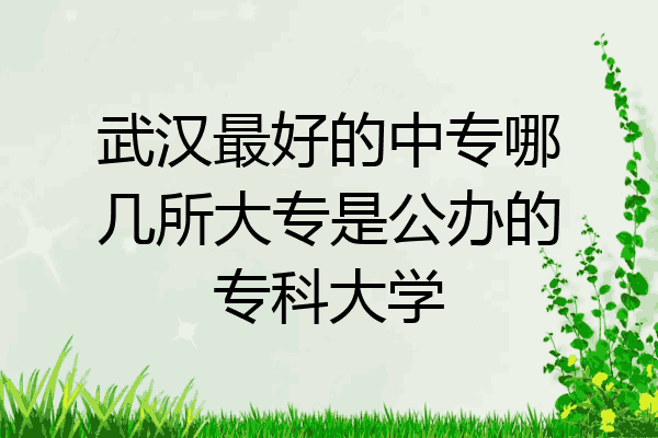 武汉最好的中专哪几所大专是公办的专科大学