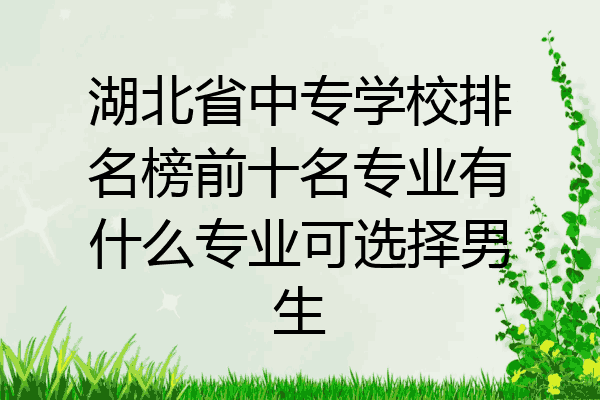湖北省中专学校排名榜前十名专业有什么专业可选择男生