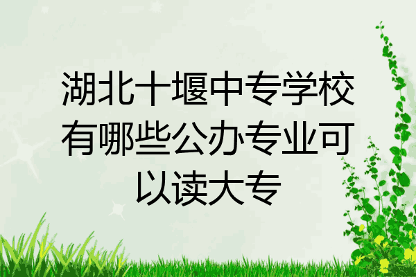 湖北十堰中专学校有哪些公办专业可以读大专