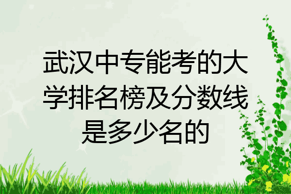 武汉中专能考的大学排名榜及分数线是多少名的