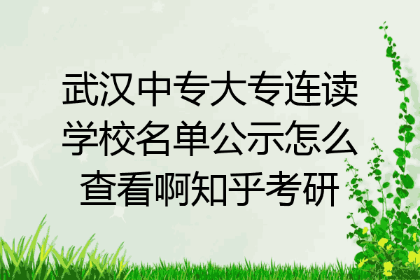 武汉中专大专连读学校名单公示怎么查看啊知乎考研