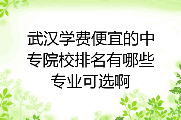 武汉学费便宜的中专院校排名有哪些专业可选啊