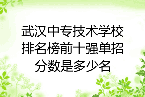 武汉中专技术学校排名榜前十强单招分数是多少名