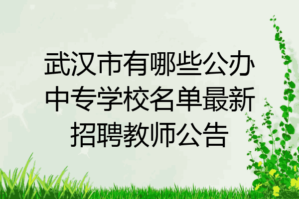 武汉市有哪些公办中专学校名单最新招聘教师公告
