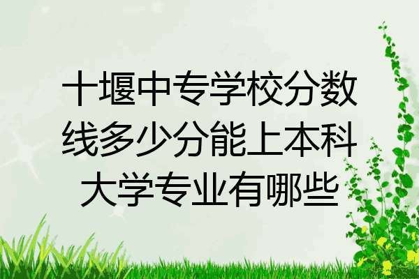 十堰中专学校分数线多少分能上本科大学专业有哪些