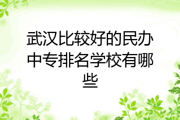 武汉比较好的民办中专排名学校有哪些
