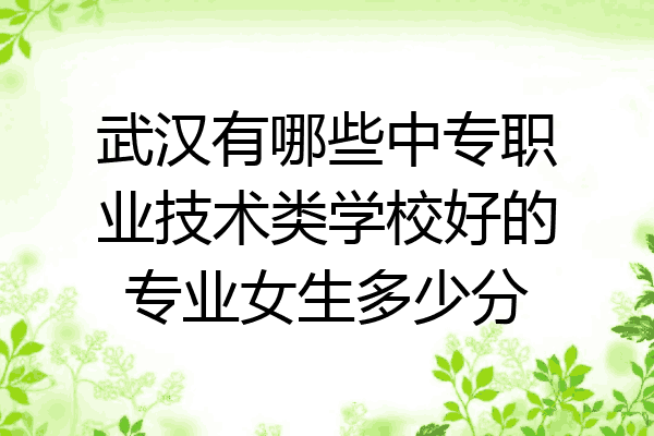 武汉有哪些中专职业技术类学校好的专业女生多少分