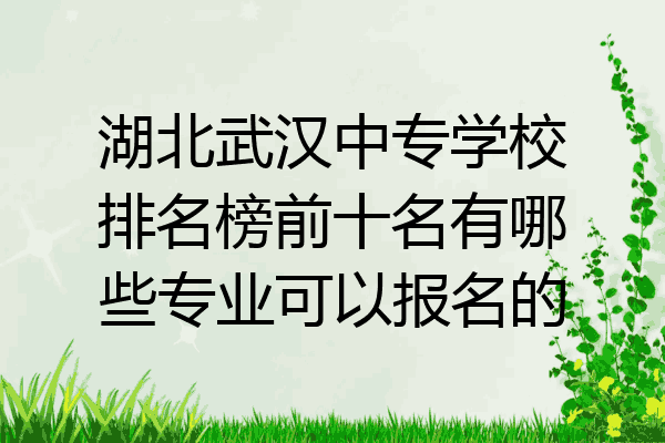 湖北武汉中专学校排名榜前十名有哪些专业可以报名的