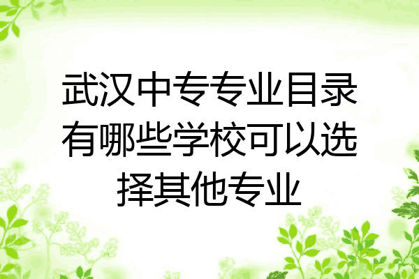 武汉中专专业目录有哪些学校可以选择其他专业