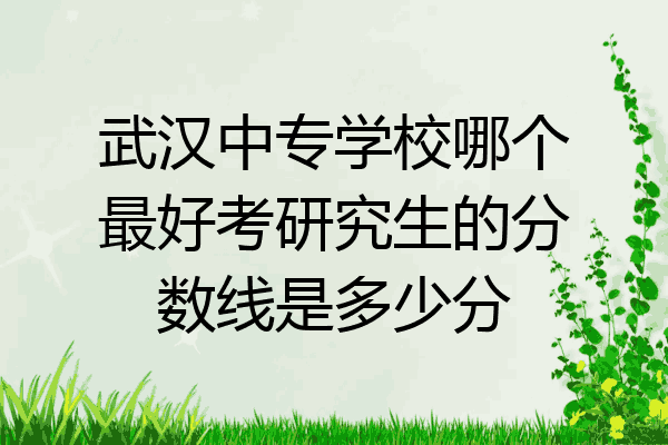 武汉中专学校哪个最好考研究生的分数线是多少分