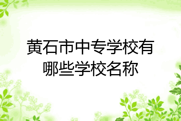 黄石市中专学校有哪些学校名称