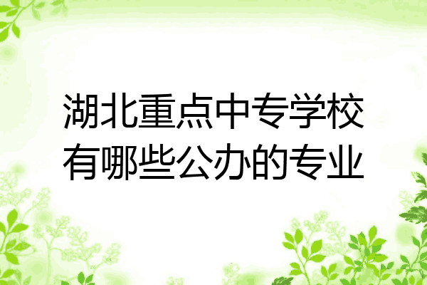 湖北重点中专学校有哪些公办的专业