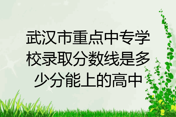 武汉市重点中专学校录取分数线是多少分能上的高中